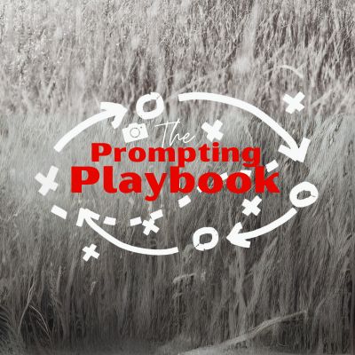 The Prompting Playbook